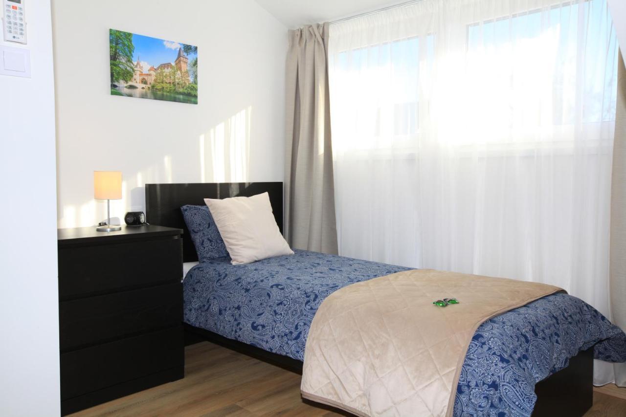 Paskal-Lux Apartments With Free Parking And Ac بودابست المظهر الخارجي الصورة