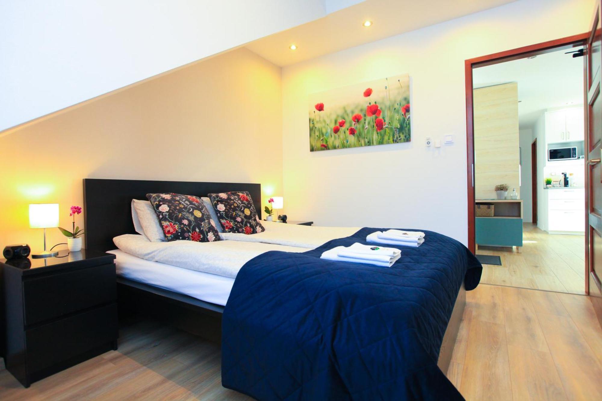 Paskal-Lux Apartments With Free Parking And Ac بودابست المظهر الخارجي الصورة